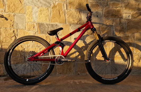 Bikecheck Adrian Campos - Canyon Stiched 720