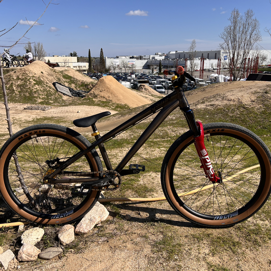 Bikecheck Amadeo Martinez DpsBikes VIDI II