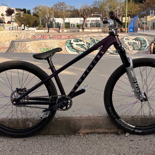 Bikecheck Roberto Forneli Commencal Absolut