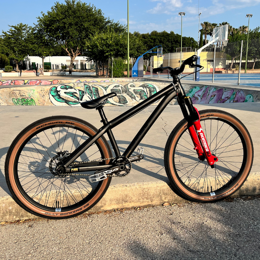 Bikecheck Christian Narro Ns Decade