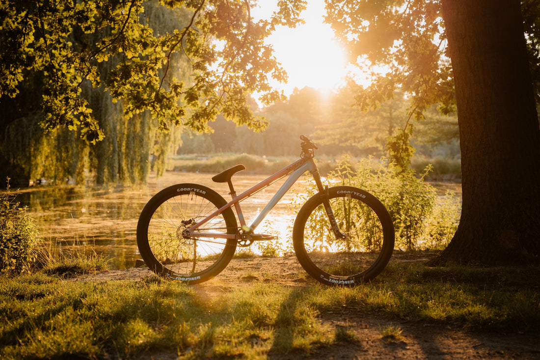 Bikecheck Vilibald Vítek - DpsBikes VIDI II