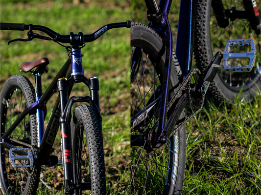 Bikecheck Marcel Durbau DpsBikes VIDI III