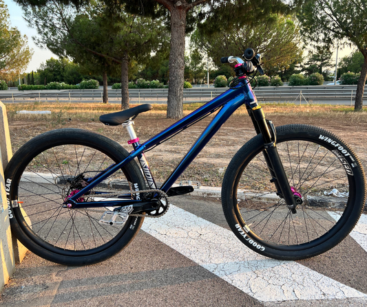 Bikecheck Ramon Piquer DpsBikes VIDI III 2025