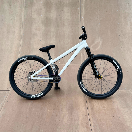 Bikechek Tony Baude DpsBikes VIDI II 2025