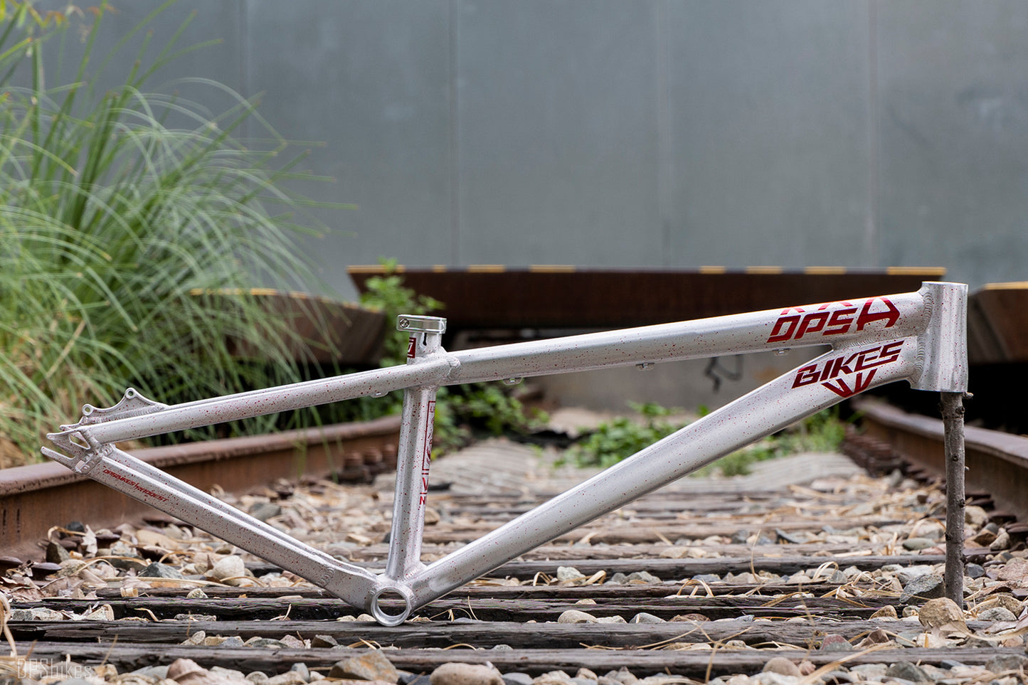 RESERVA DpsBikes VIDI 2026
