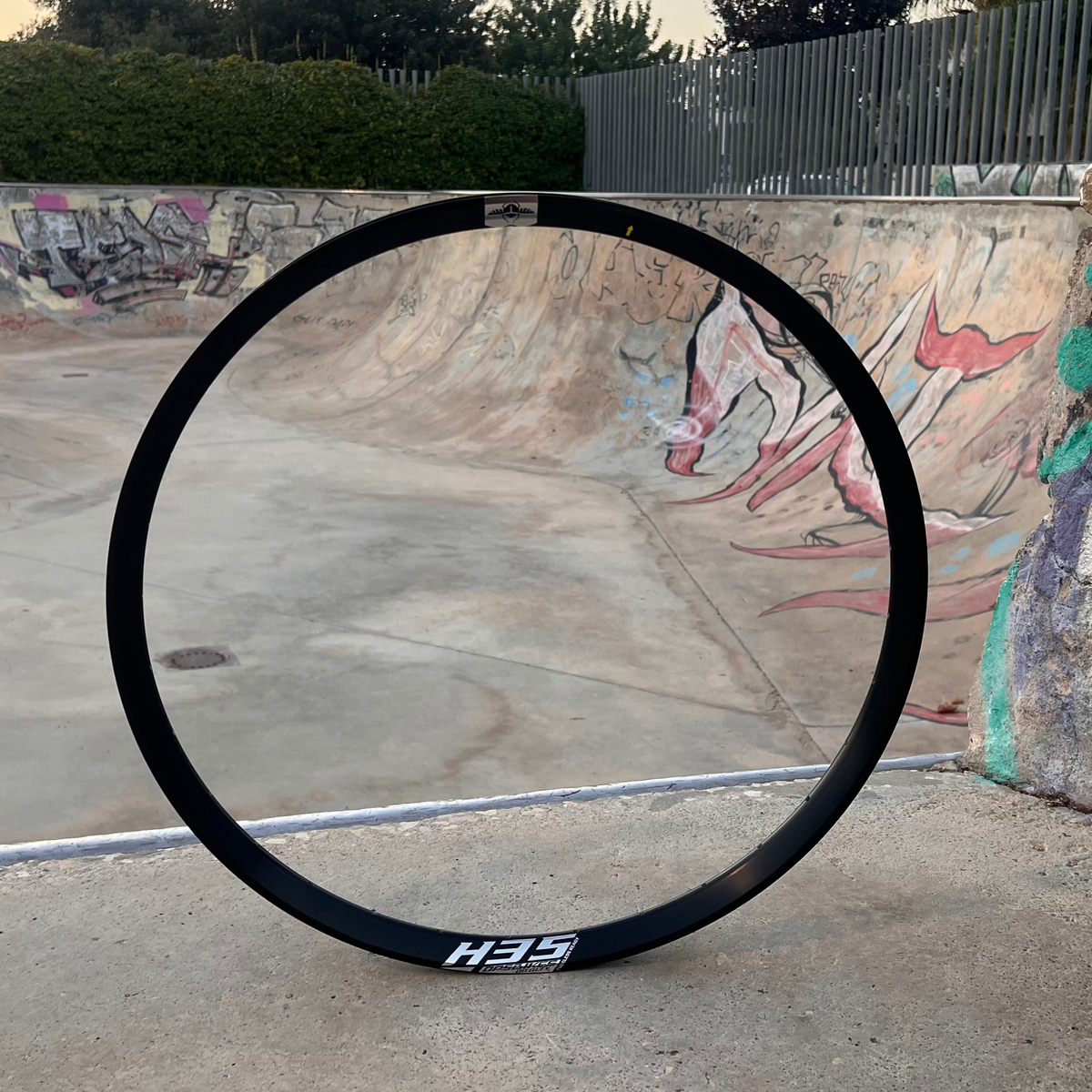 Llanta DpsBikes H35 PRO